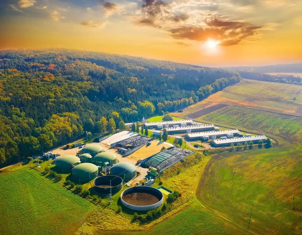 Biogas Industry